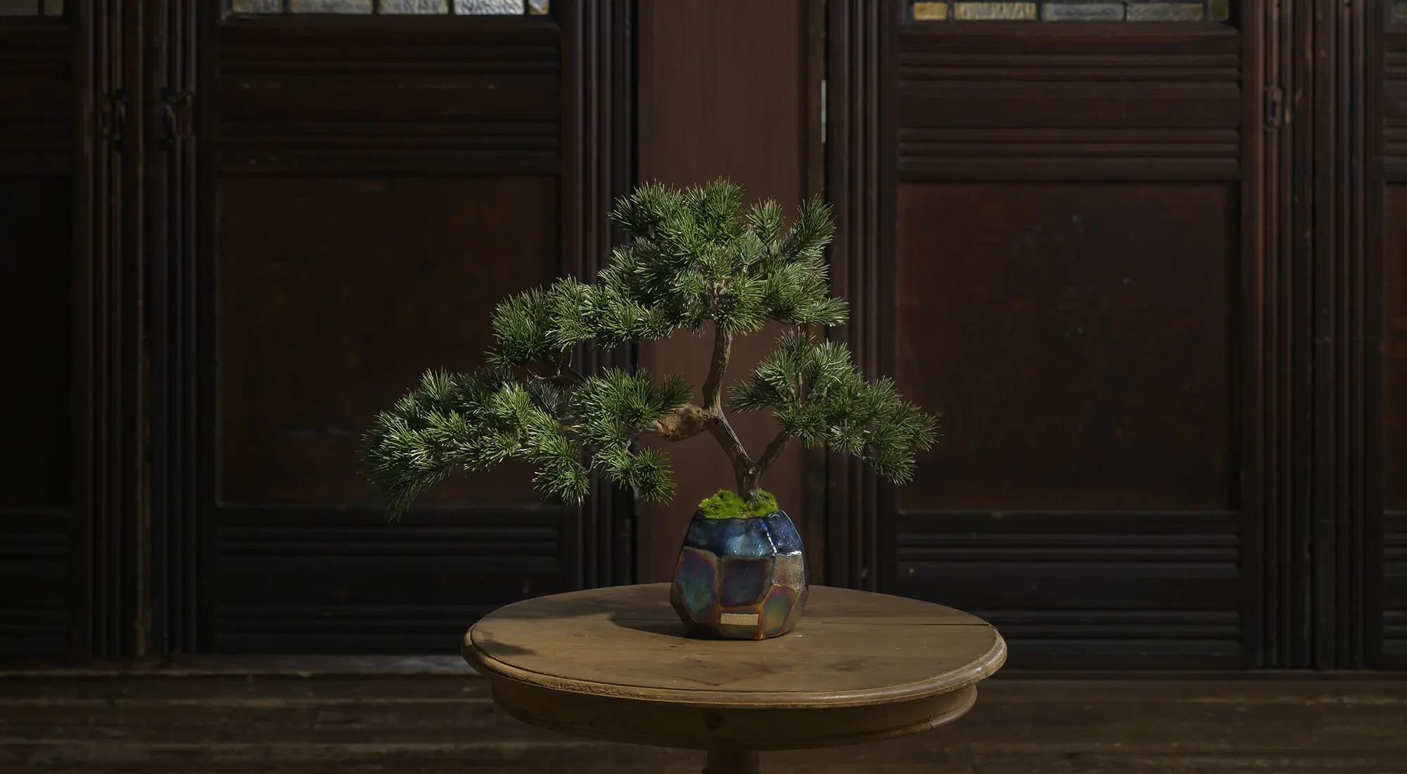 BONSAI2L26-a