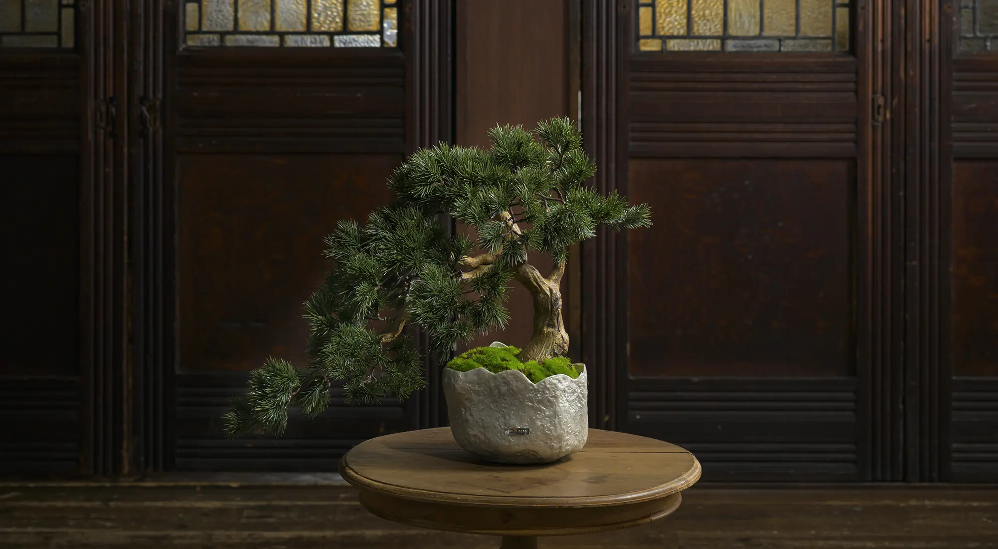 BONSAI2L26-b