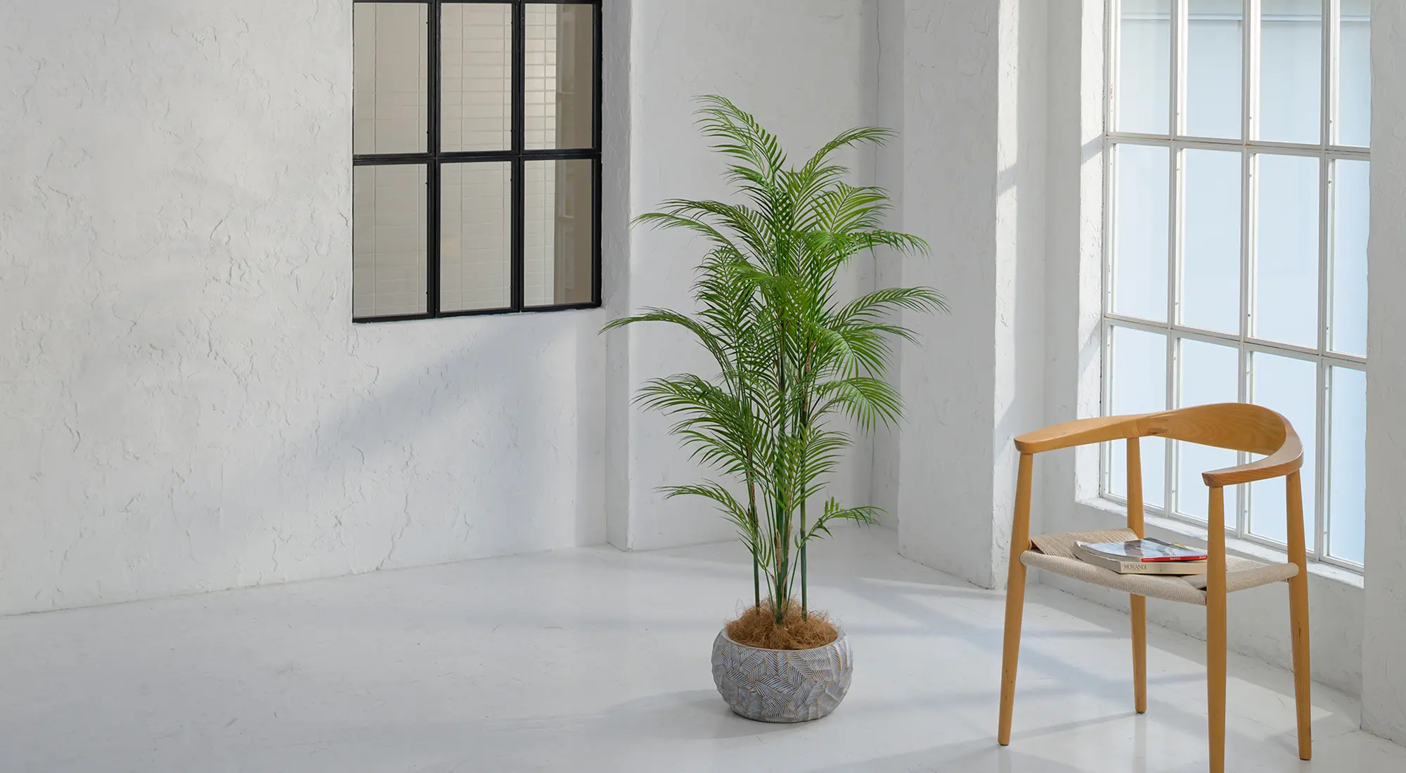 エミリオロバ　パーム　人工観葉植物 エミリオロバ パーム 人工観葉植物 EMILIO ROBBA PALM / エミリオロバ