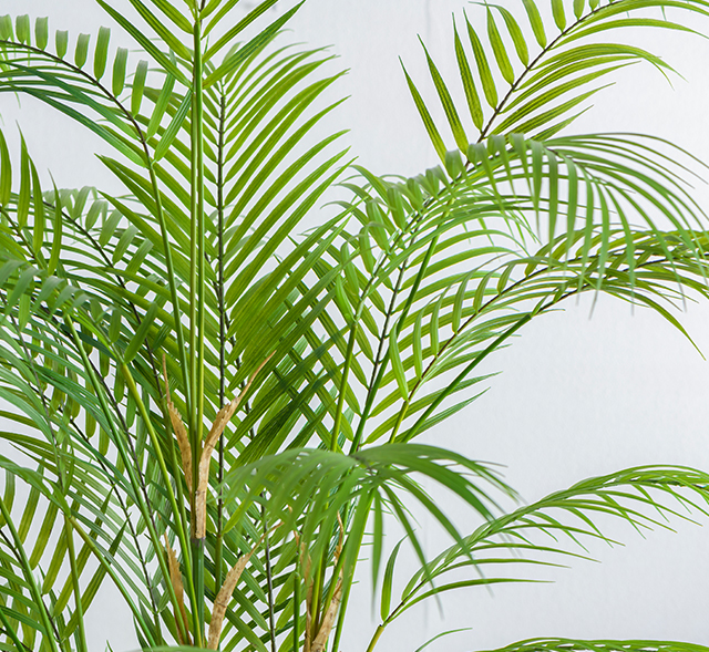 自然本来の姿をそのままに