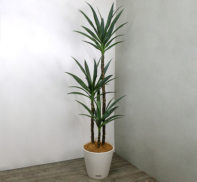 ユッカラン アーティフィシャルグリーン 観葉植物 ギフト ユッカラン アーティフィシャルグリーン 観葉植物 ギフト