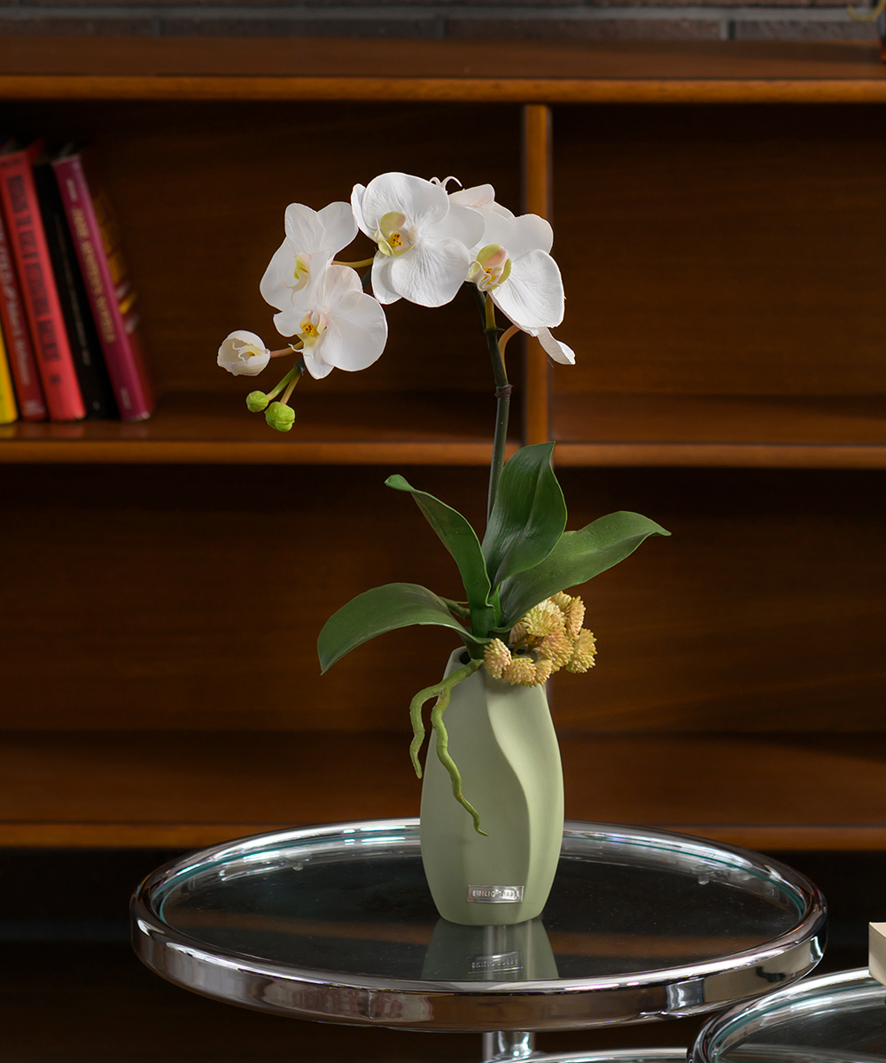 こちらもオススメ　ファレノプシスボタニックM25