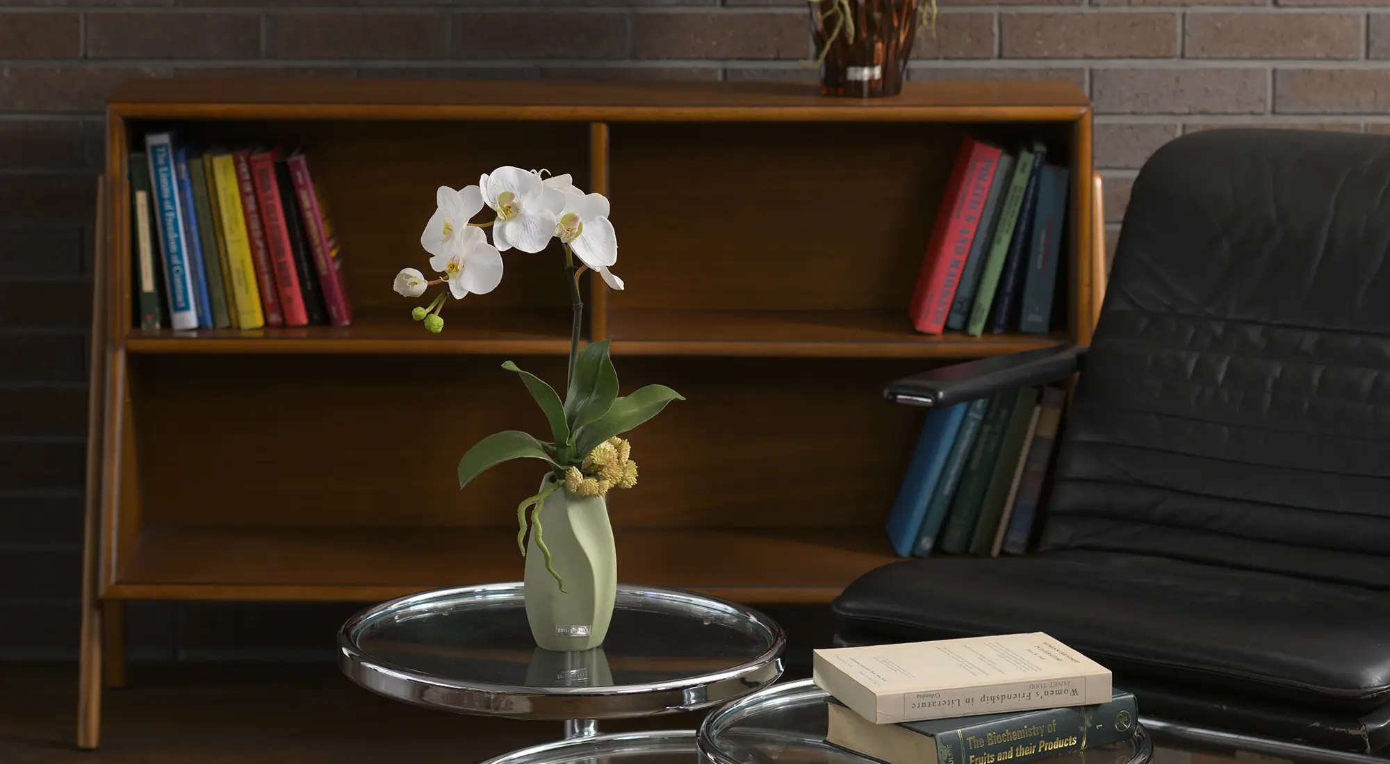 ファレノプシスボタニックM25