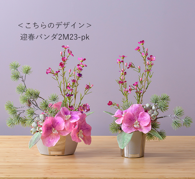 迎春コレクション