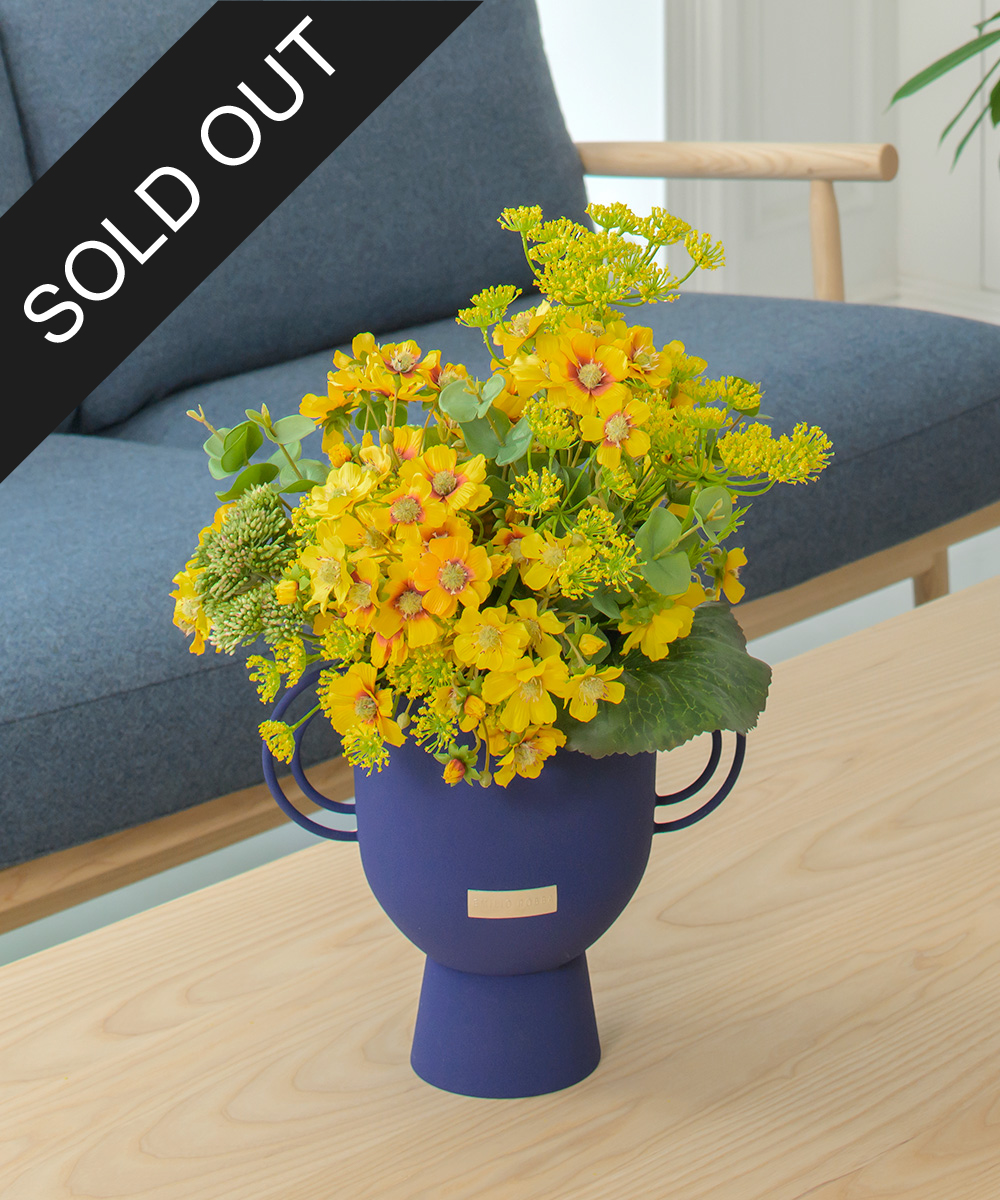 こちらもオススメ　コレオプシス2L25