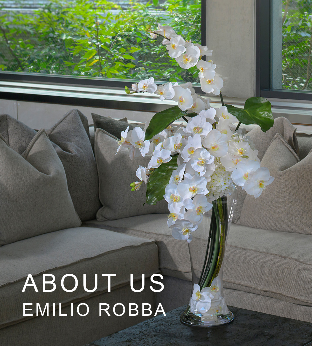EMILIO ROBBAについて