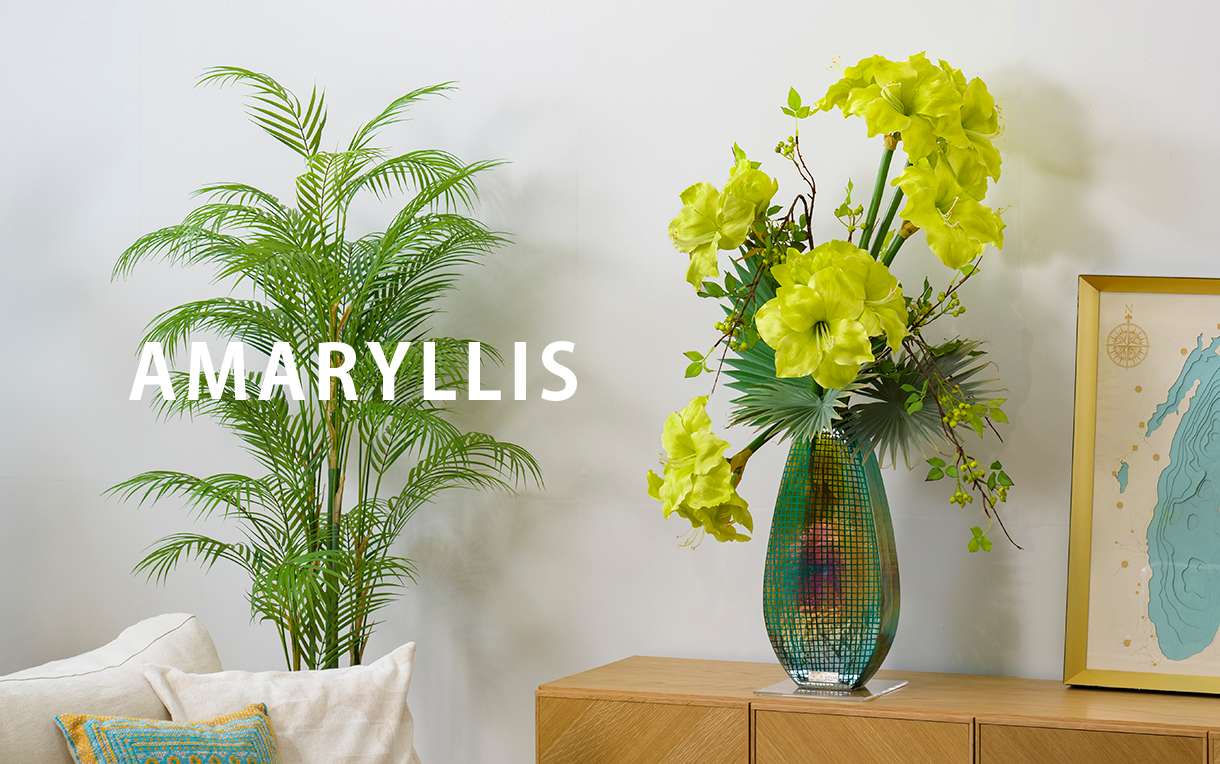 AMARYLLIS