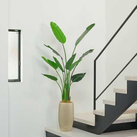 オーガスタ アーティフィシャルグリーン 観葉植物 ギフト プレゼント