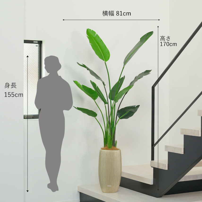 オーガスタ アーティフィシャルグリーン 観葉植物 ギフト プレゼント