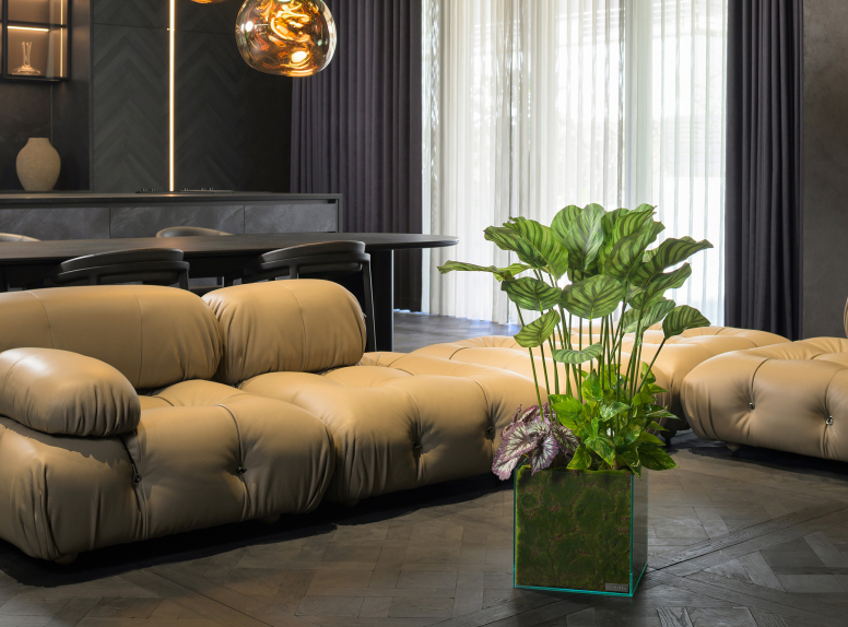 インテリアグリーンの革命