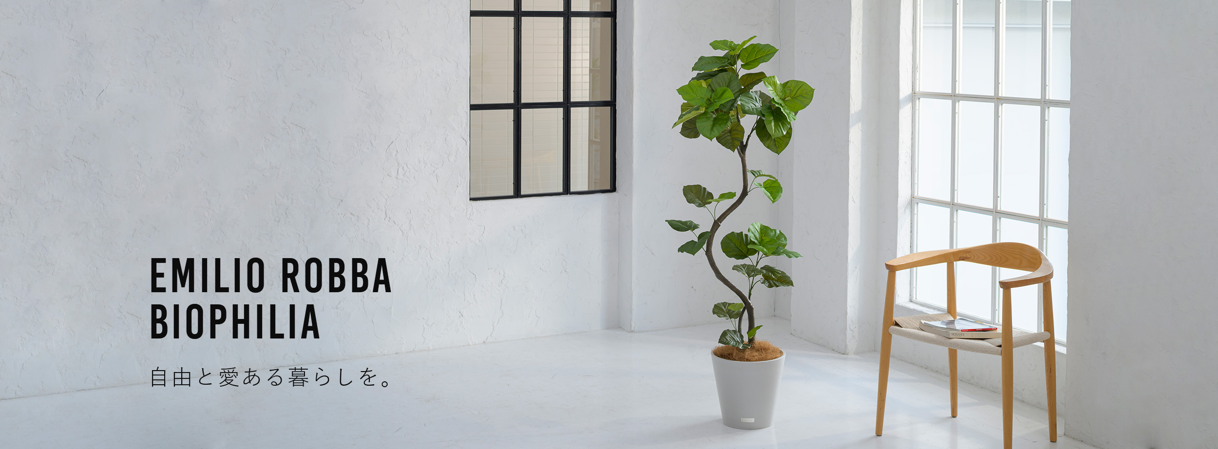 アーティフィシャルグリーン(観葉植物)特集