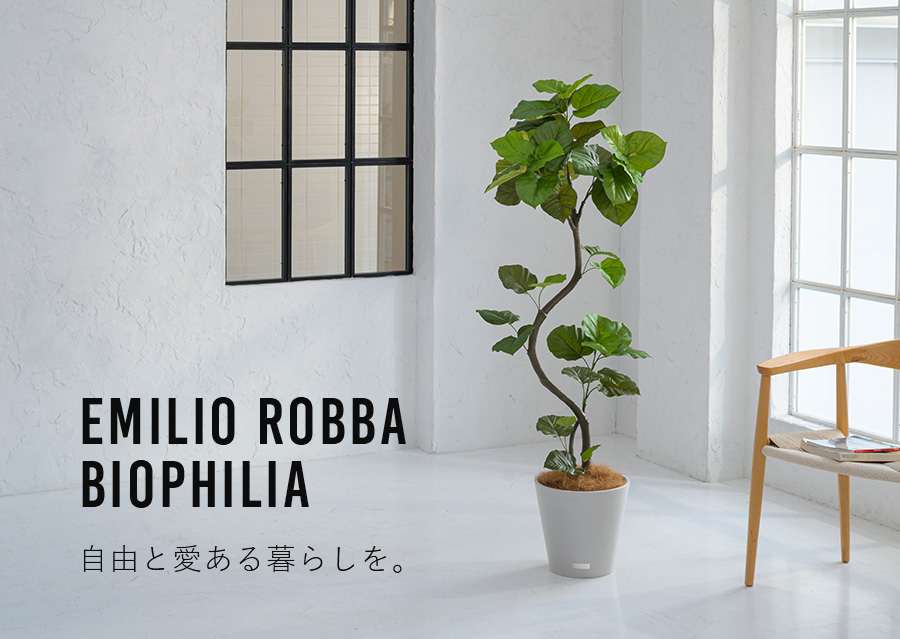 biophilia_design_top.jpg