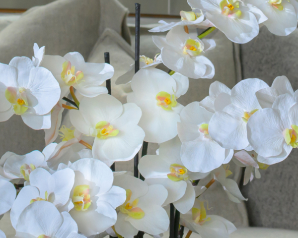 誕生日プレゼントに贈るアーティフィシャルフラワー特集｜エミリオ