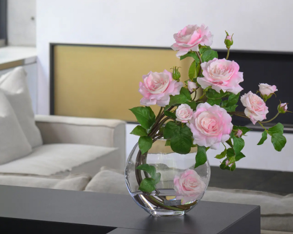 日光浴の必要なし