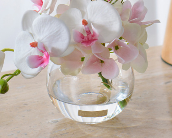 水やり不要で衛生的