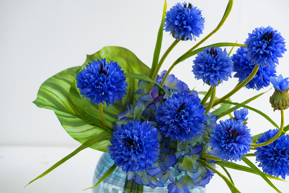 CORNFLOWER