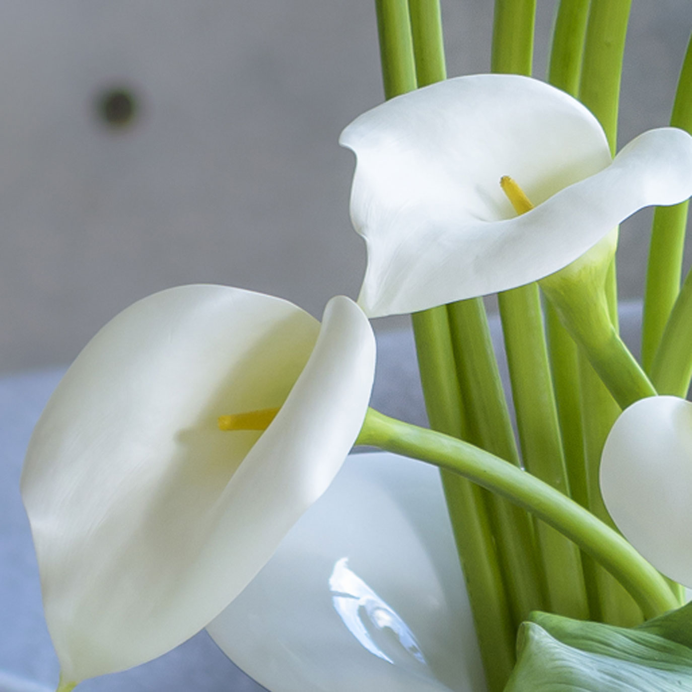 思わず触れたくなる
スポンディッシュな質感