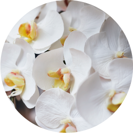花脈もリアル高品質な花材