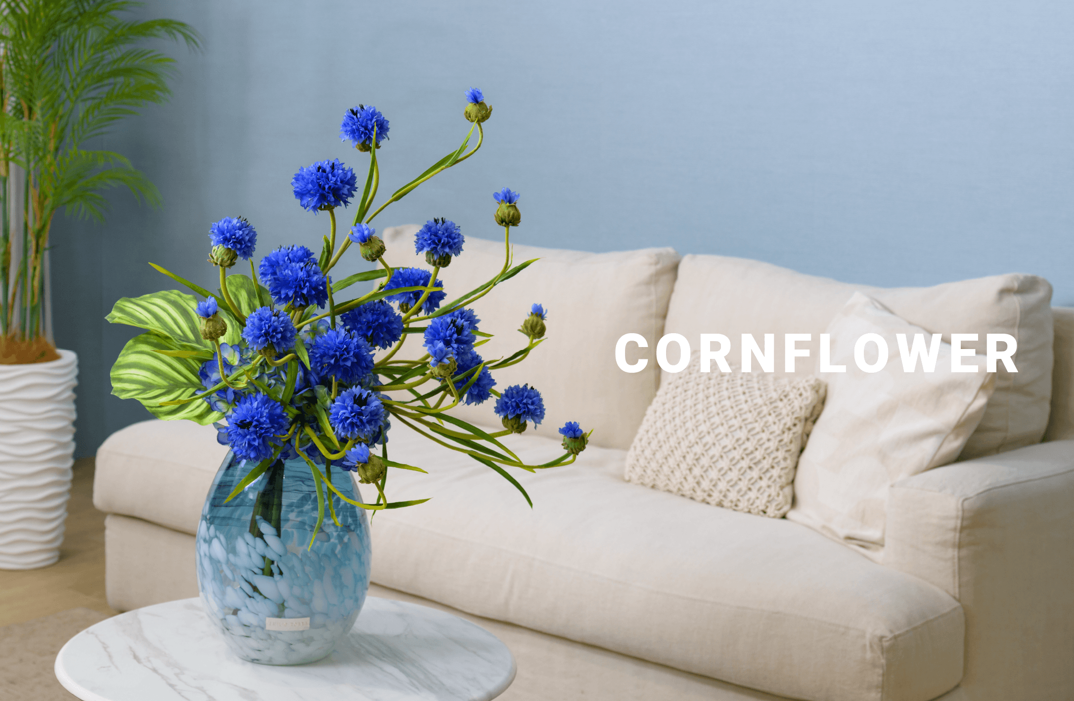 CORNFLOWER