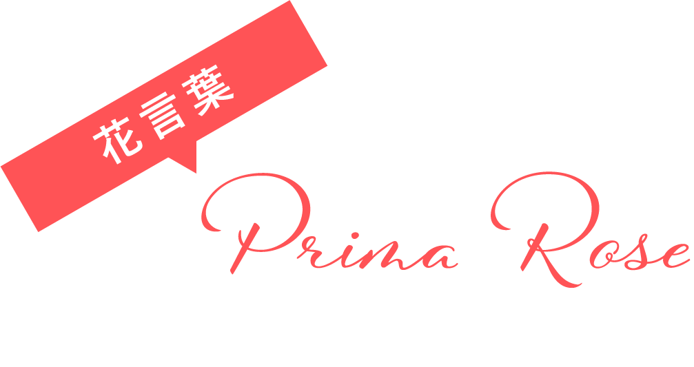 花言葉は「愛・感謝」