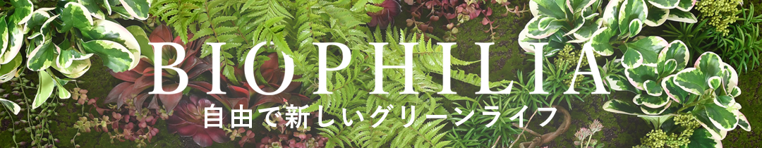 アーティフィシャルグリーンを詳しく見る
