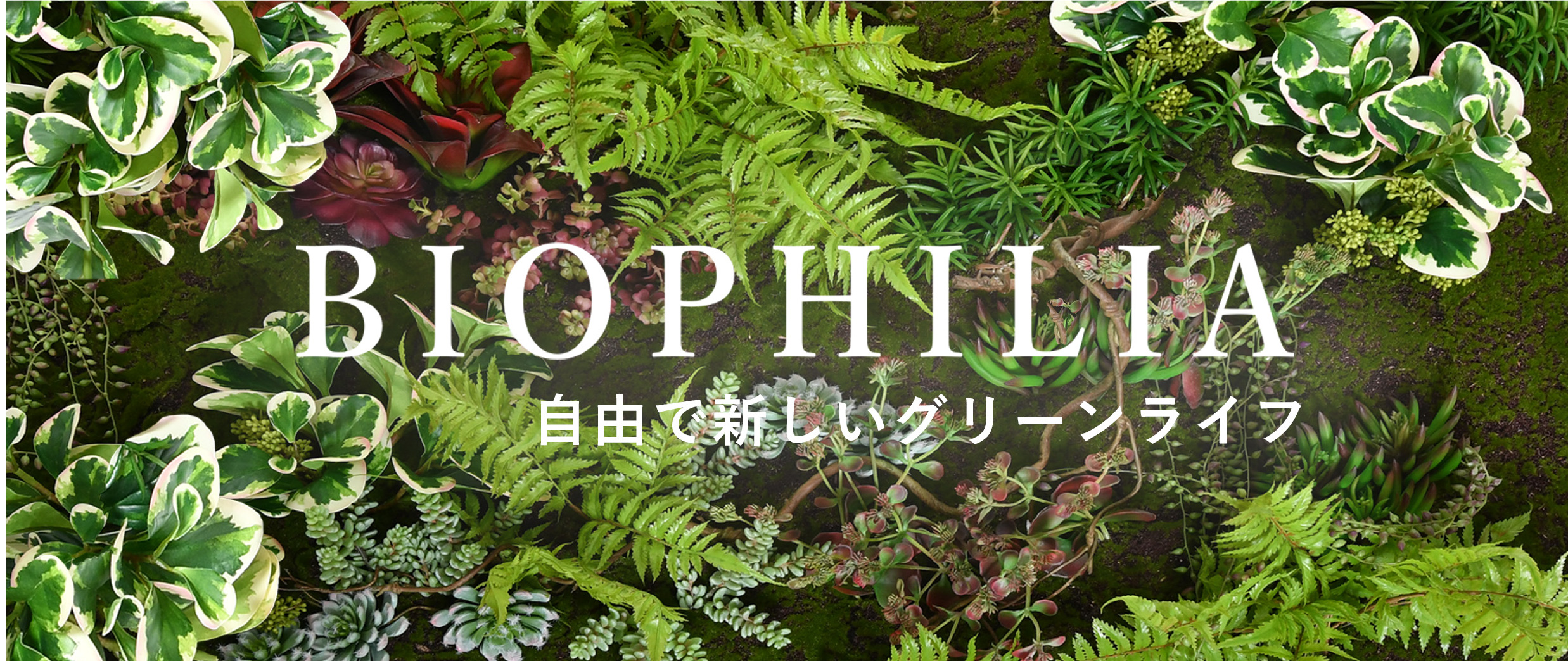 アーティフィシャルグリーン(観葉植物)特集