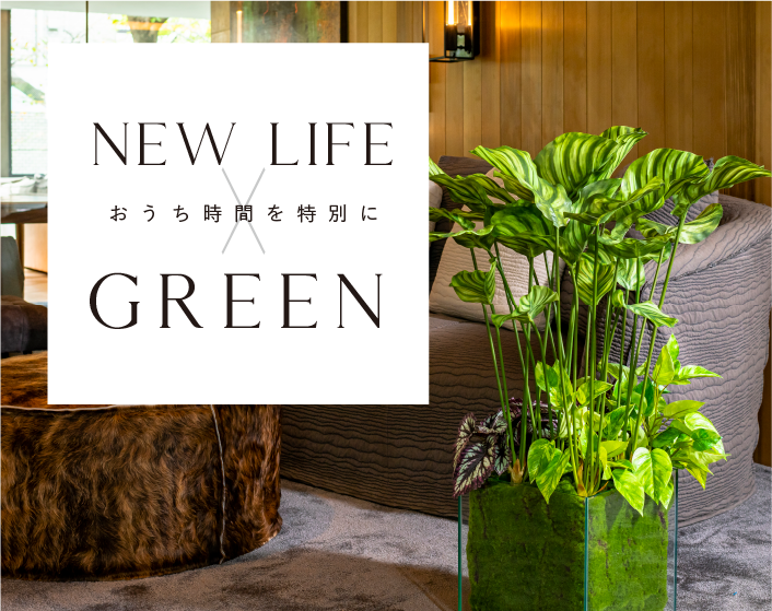 NEW LIFE×GREEN|グリーン特集