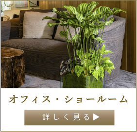 スマートフォン用の画像