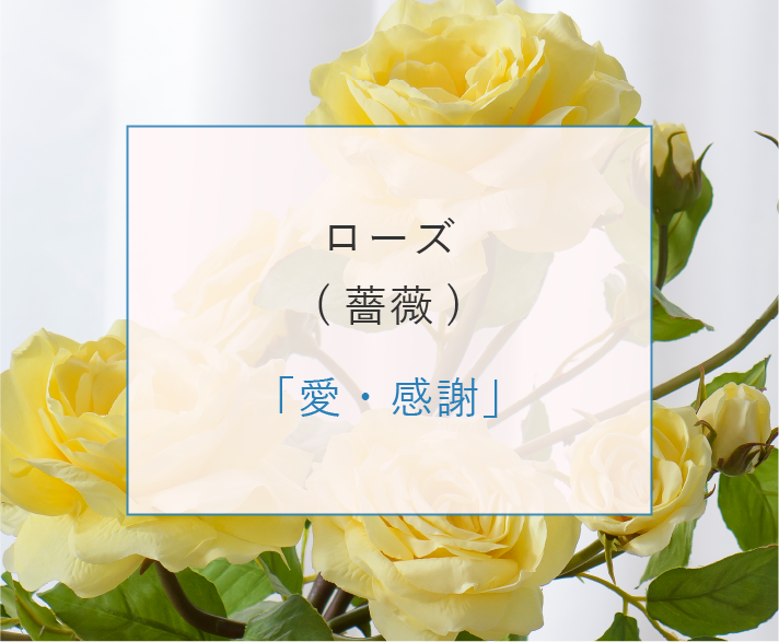 ローズ「愛・感謝」