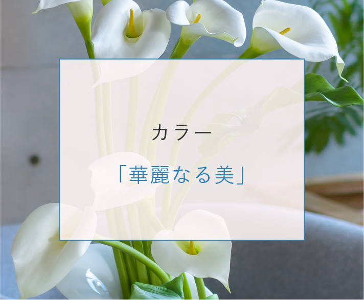 カサブランカ「雄大な愛・高貴」