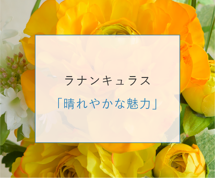 観葉植物「長い幸・永遠の愛」
