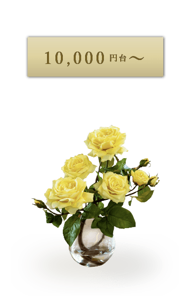 価格から選ぶ 10,000円台~