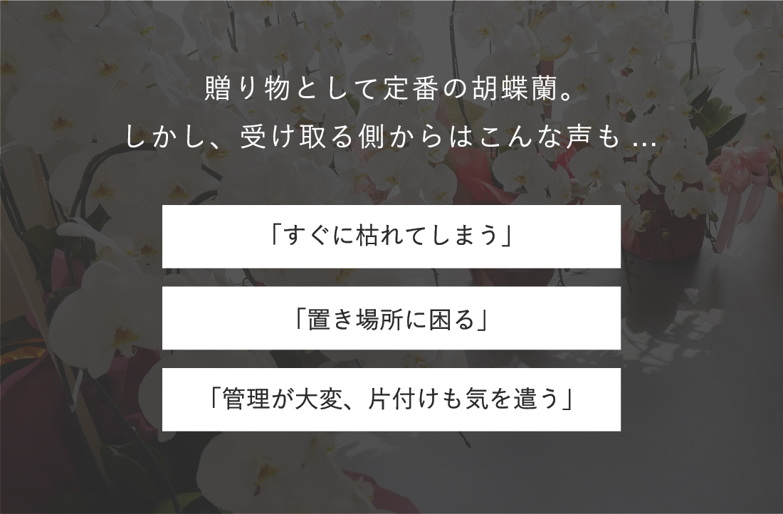 贈り物として定番の胡蝶蘭。しかし、受け取る側からはこんな声も... 「すぐに枯れてしまう」「置き場所に困る」「管理が大変、片付けも気を遣う」