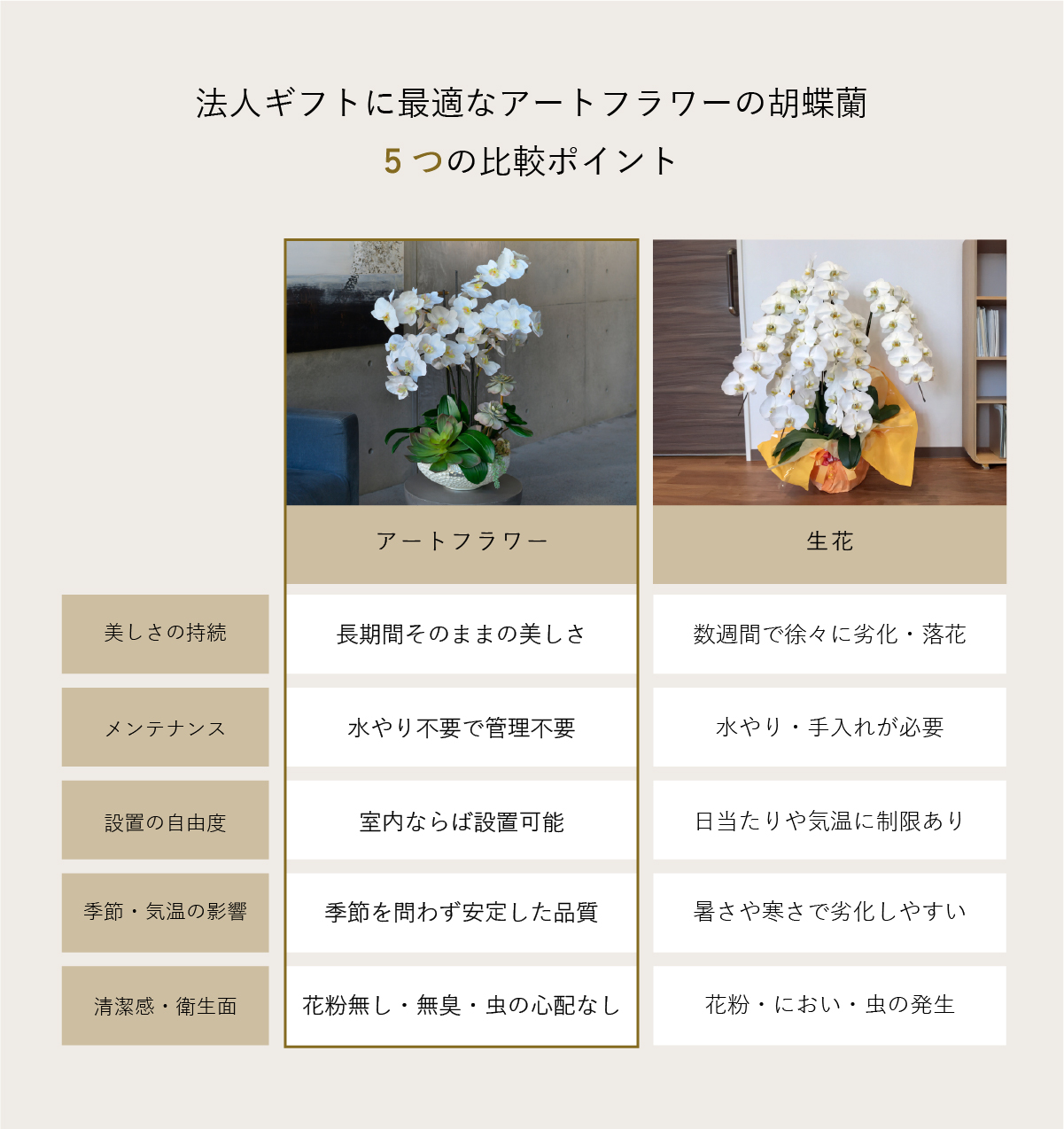 法人ギフトに最適なアートフラワーの胡蝶蘭 5つの比較ポイント