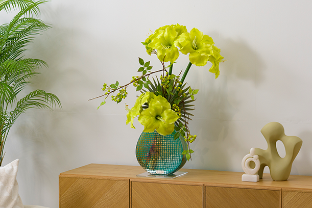 AMARYLLIS