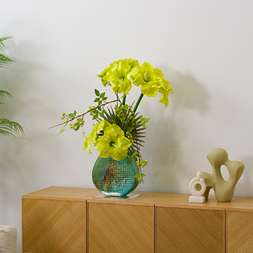 AMARYLLIS