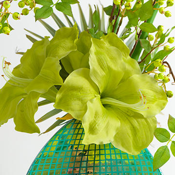 AMARYLLIS