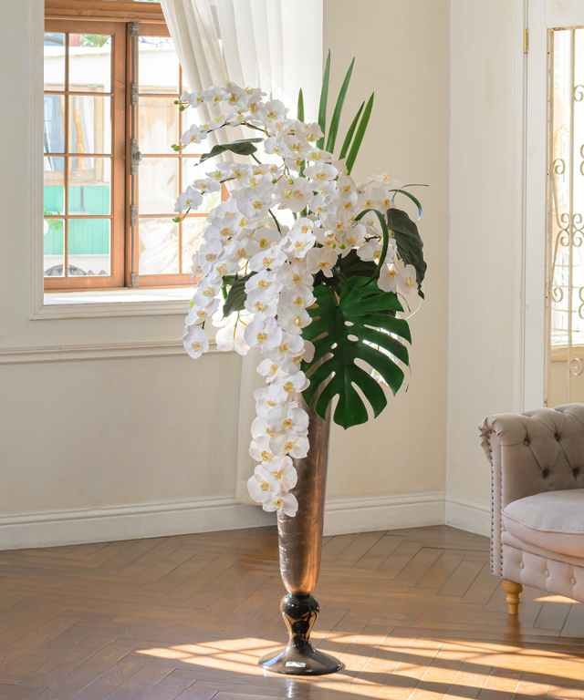 【オーダー】ファレノプシス5XL