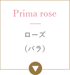 ローズ（バラ）
