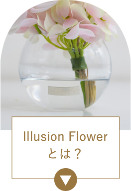 Illusion Flowerとは？