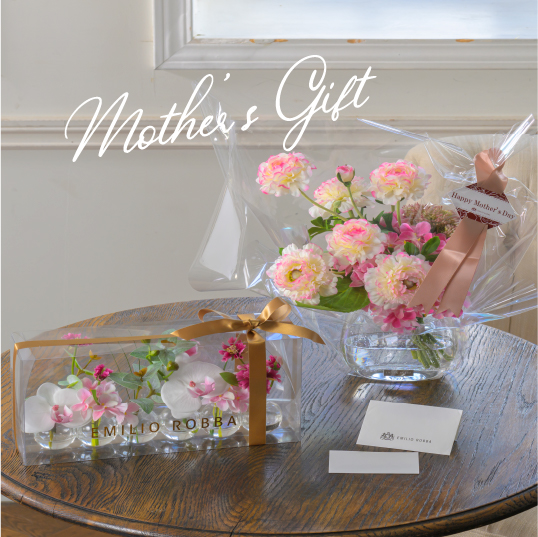 Mother's gift
