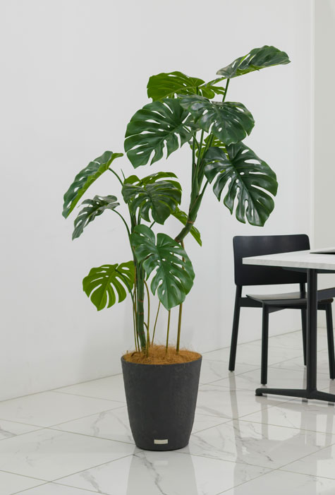 ココファイバー(付属品)