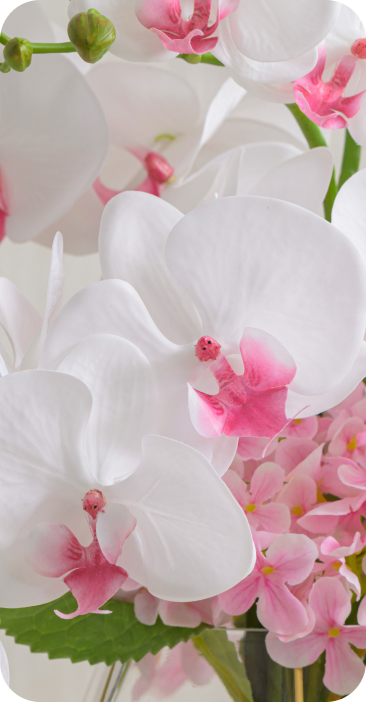 Mother's Day Flowers