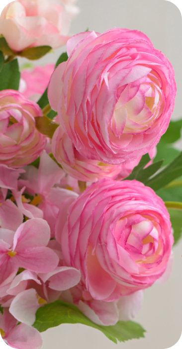 Mother's Day Flowers