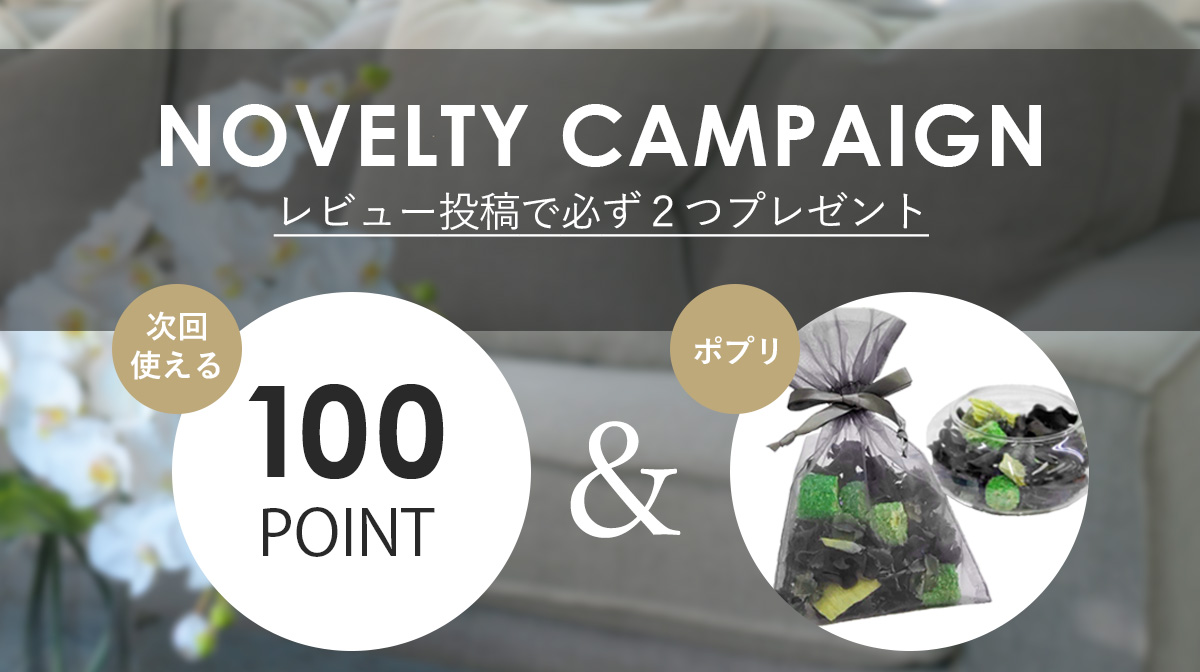 トップ画像