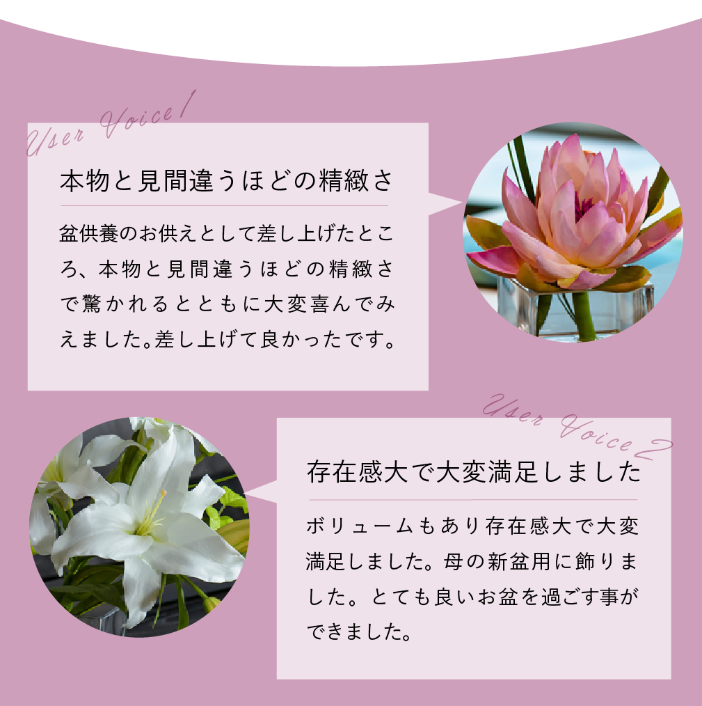 スマートフォン用の画像