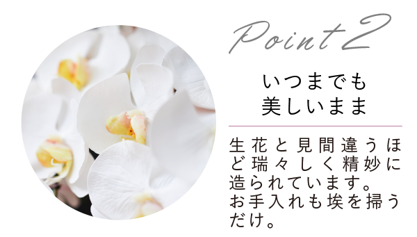 スマートフォン用の画像