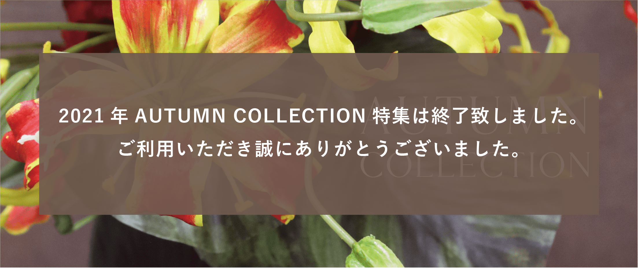 パソコン用の画像