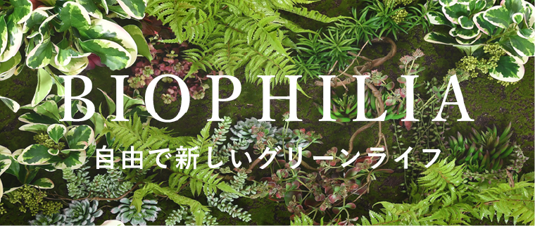 観葉植物特集はこちら ▶