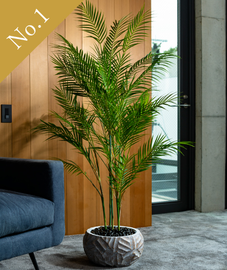観葉植物デザインNo.1は風に揺れる姿が爽やかなパーム